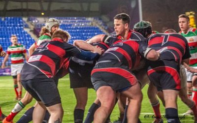 Tallaght fixtures 13th-14th November